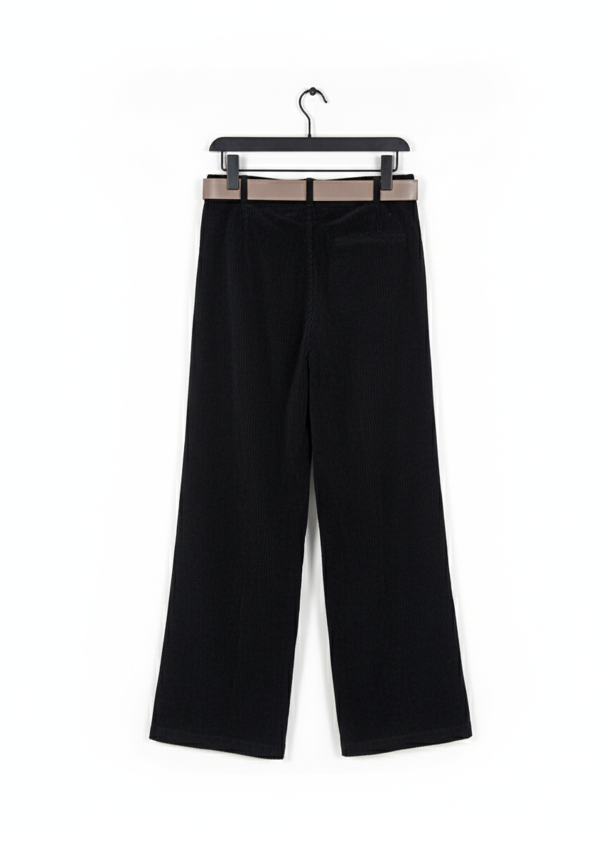 Pantalon Velours Chic