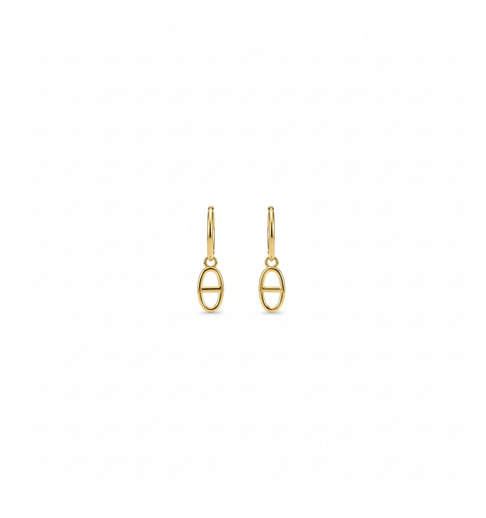 Boucles d'oreilles Aura Inoxydables