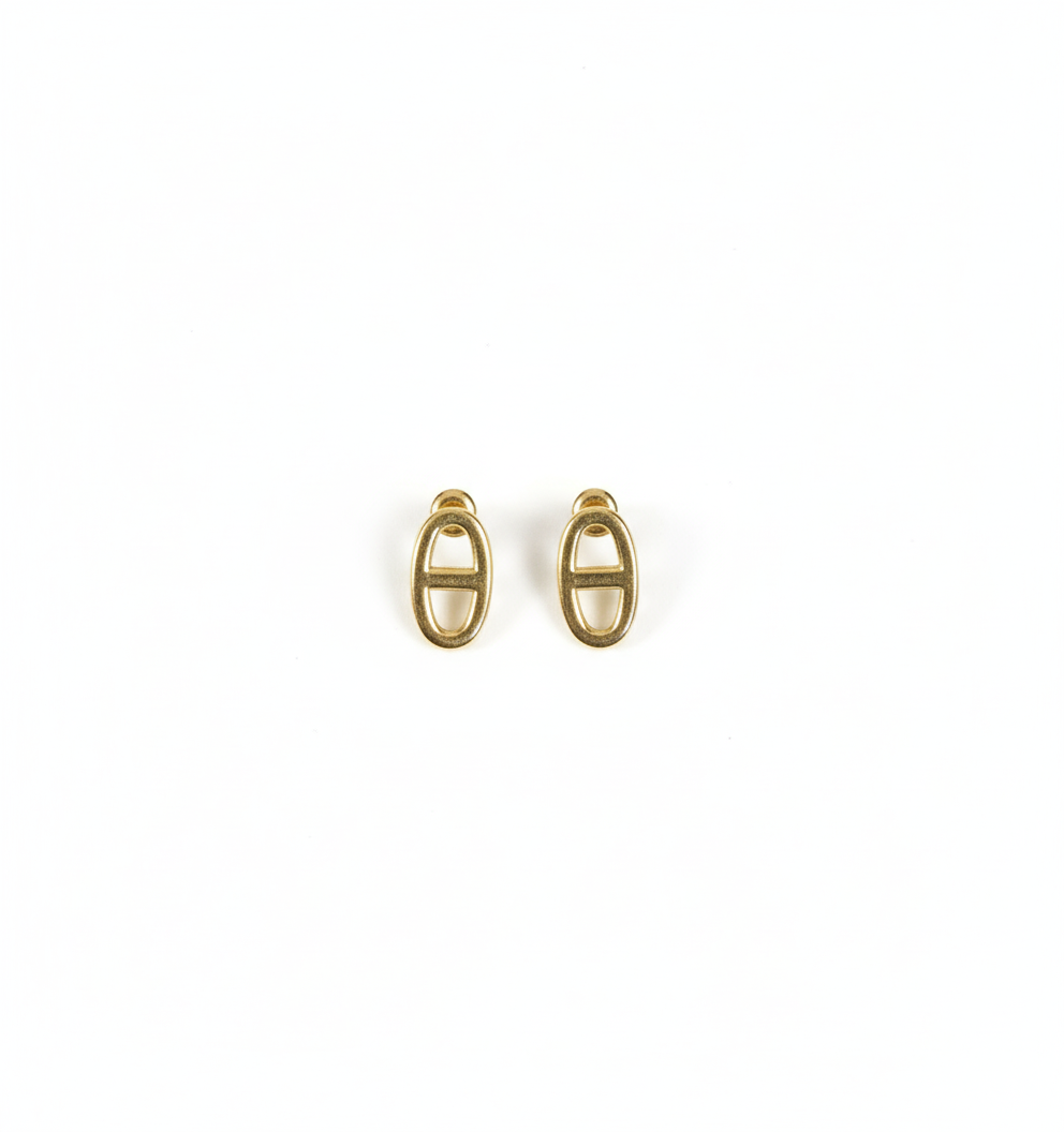 Boucles d'oreilles Aura Inoxydables